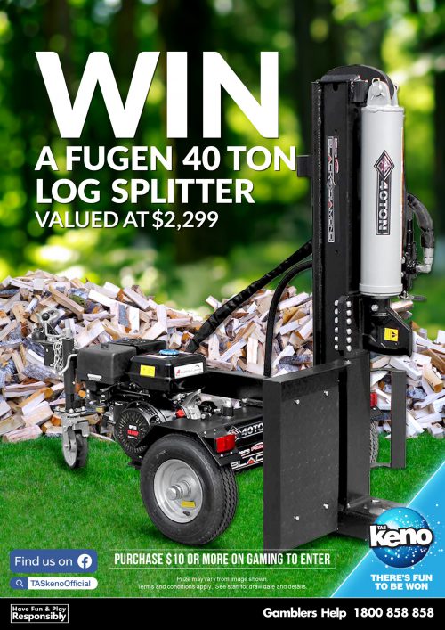 WIN a 40 TON Log Splitter